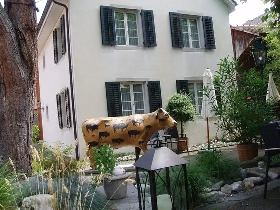 Studio-Apartments by Ochsen Lenzburg