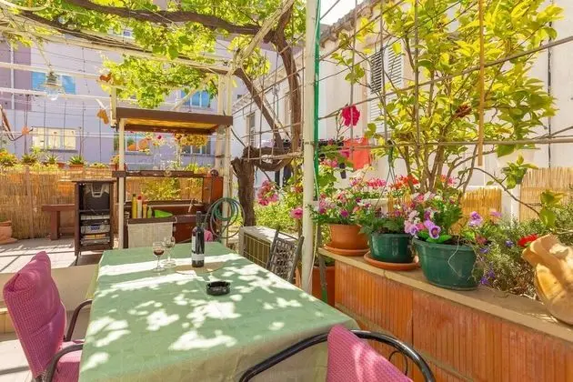 Studio Ibis - Öne Çıkan Resim