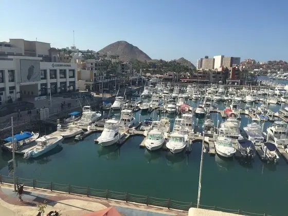 Studio Suite at Marina Cabo Plaza