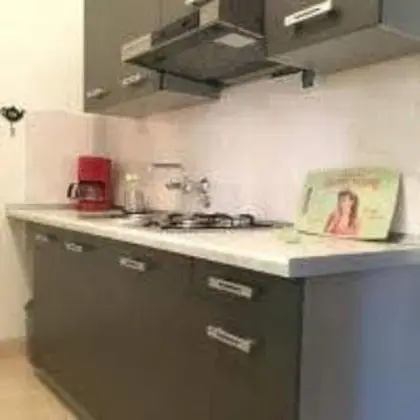 Stunning 1-bed Apartm. Near the Beach in M. Lošinj - Mutfak