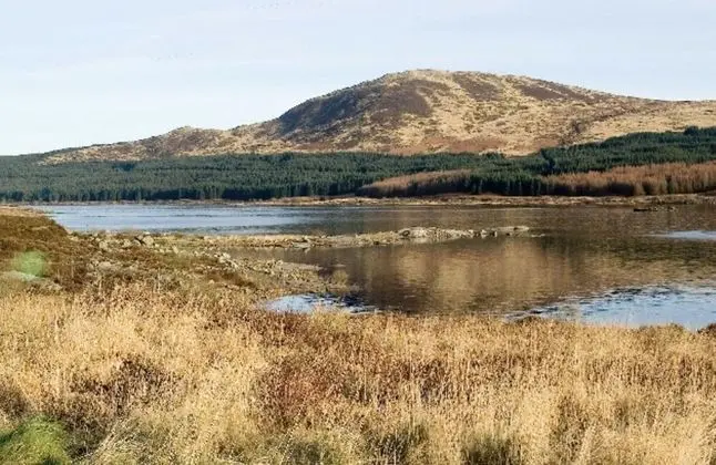 Stunning 2-bed Cottage Countryside Outside Ayr - Plaj