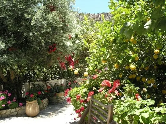 Stunning 2-bedrooms Private Cottage in Palaiochora - Dış Mekan