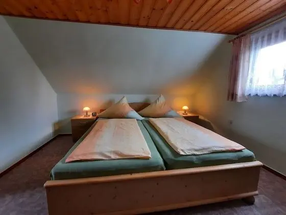 Stunning Apartment With Terrace in Saxony - Oda