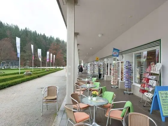 Stunning Apartment With Terrace in Saxony - Yerinde Yemek