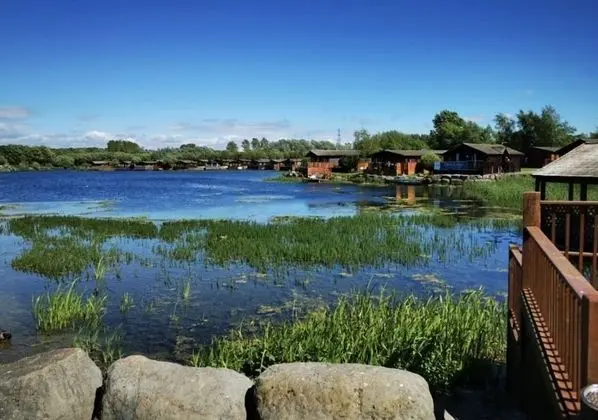Stunning Lodge - Home From Home - Öne Çıkan Resim
