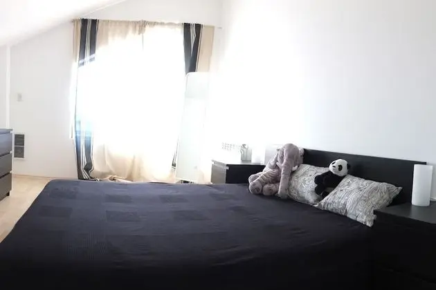 Stunning Mtn View 1-bed Ski Apt in Pamporovo - Oda