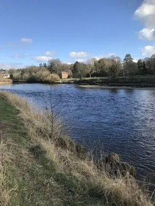 Stunning Shepherds Hut Rural Bliss Dumfries - Plaj