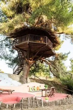 Stunning Treehouse 10 Mins From Sandy Beaches - Dış Mekan