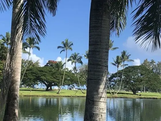 Stunning Views Best location in Hilo 2BR - Dış Mekan