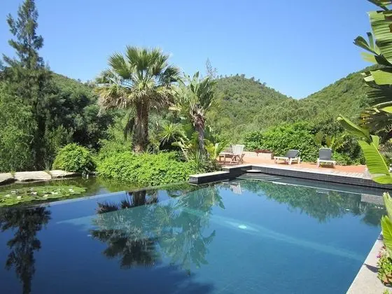 Stylish Villa in Monchique With Private Swimming Pool - Havuz