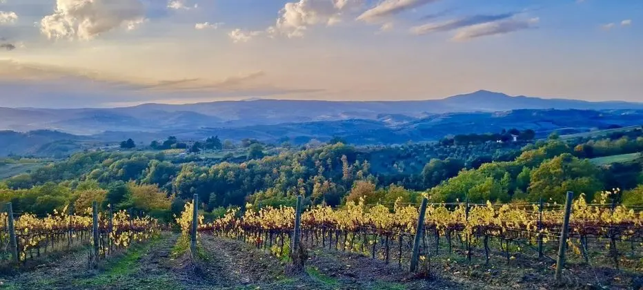 Stylish Umbrian Apartment Garden Pool nr Orvieto - Genel