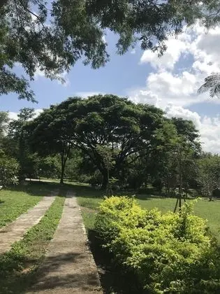 Suan Phueng Pa Wai Resort - Lobi