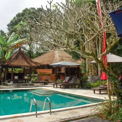 Subak Tabola Villa - Havuz