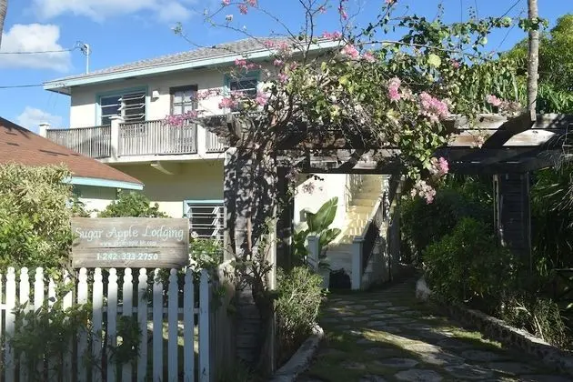 The Sugar Apple Lodging - 1