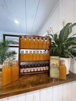 Sugar Maple Inn - Lobi