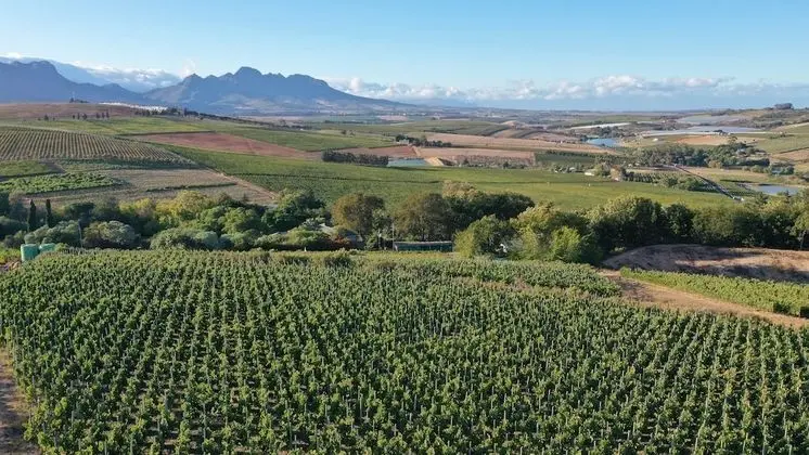 Sugarbird Manor at Protea Heights Farm - Dış Mekan