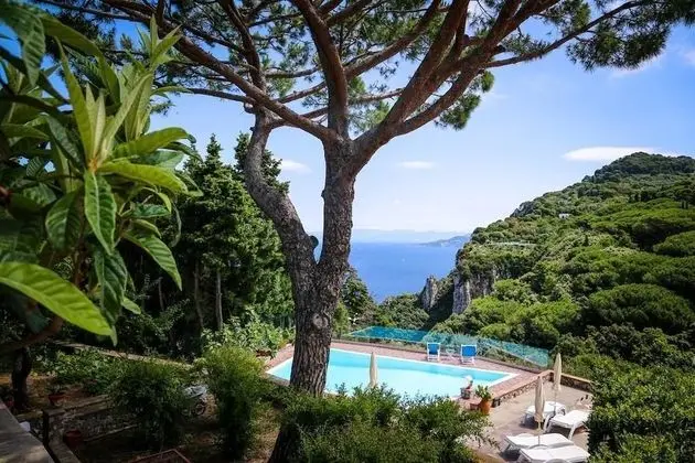 Suite Villa Carolina - Havuz