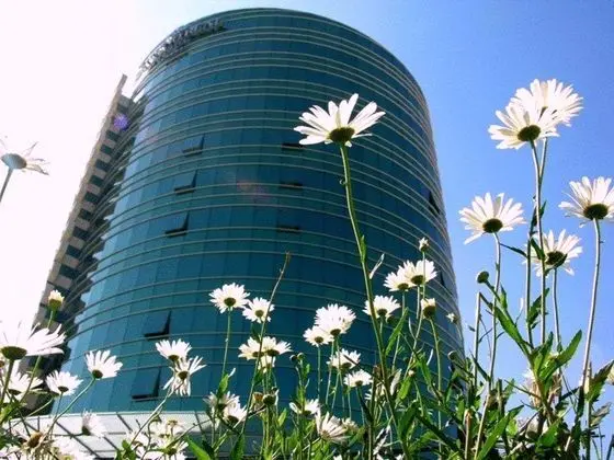 Suites Camino Real