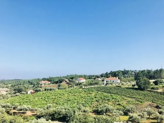 Suites do Pinhal