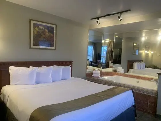 Hotel & Suites Les Laurentides Saint Sauveur - Oda