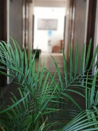 Suites Pelicano Holbox - Oda Düzeni