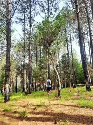 Sukoon Blusalz Escapade Bhatrojkhan - Dış Mekan