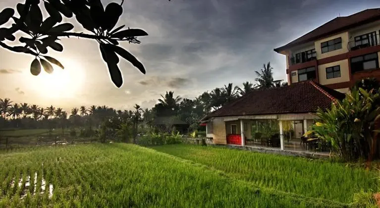 Suly Resort