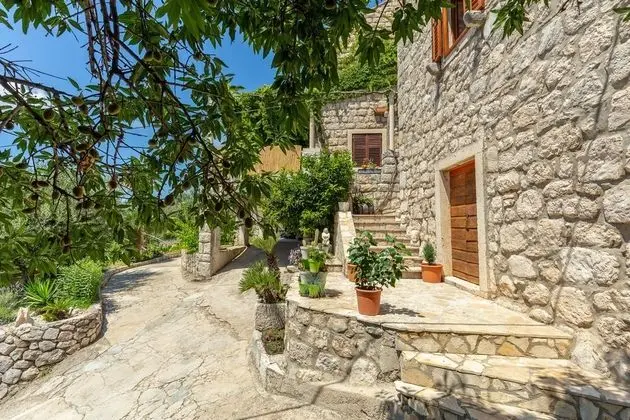 Summer Cottage - Dış Mekan