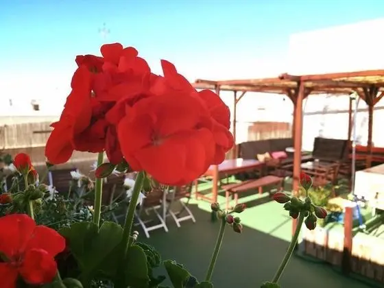 Summer Hostel Cádiz