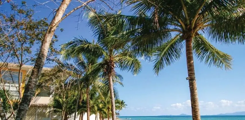 Summer Luxury Beach Resort and Spa - Plaj