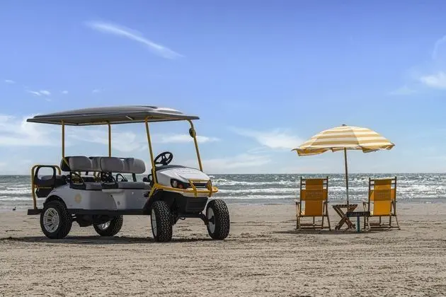Summer Vibes At Sunflower Beach - Plaj