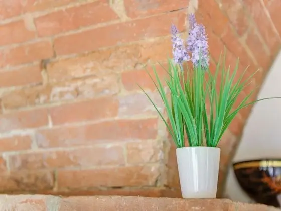 Sun-kissed Apartment in Gambassi Terme-fi With Garden - İç Mekan