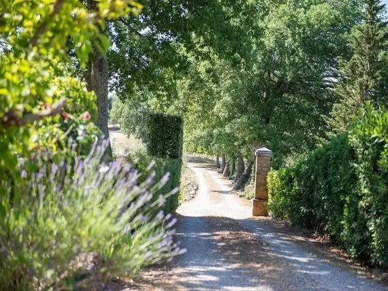 Sun-kissed Holiday Home in Gaiole in Chianti With Garden - Lobi