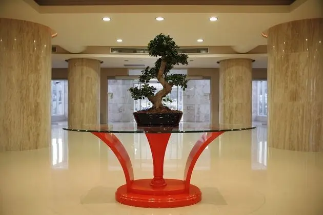 Sun Palace Hotel - All inclusive - Lobi