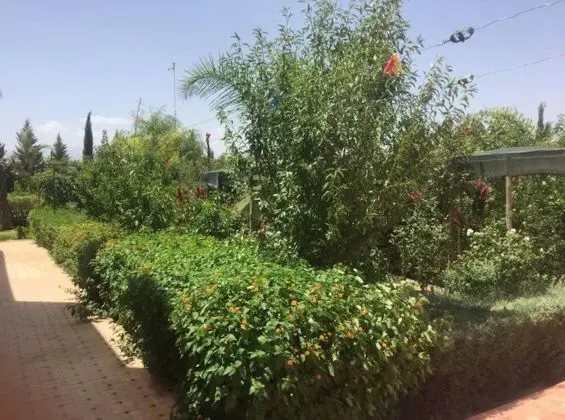 Sun And Vacances - Dış Mekan