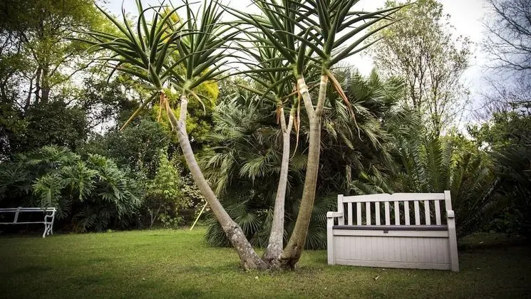 Sunbird Guest House - Öne Çıkan Resim