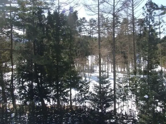 Sundance Resort Kawaguchiko - Dış Mekan