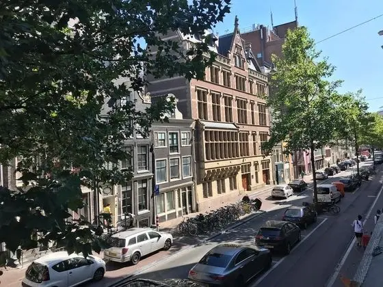 Sunflower Amsterdam