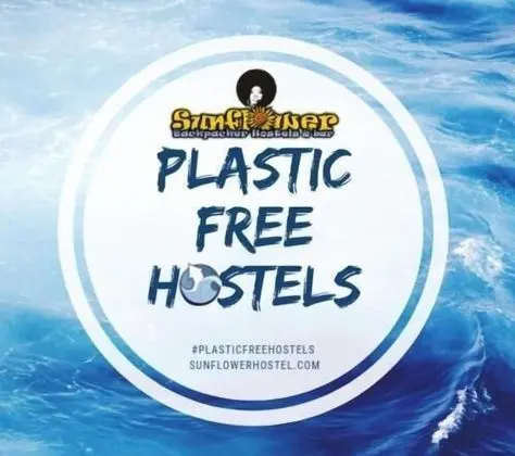 Sunflower Beach Backpacker Hostel - Genel