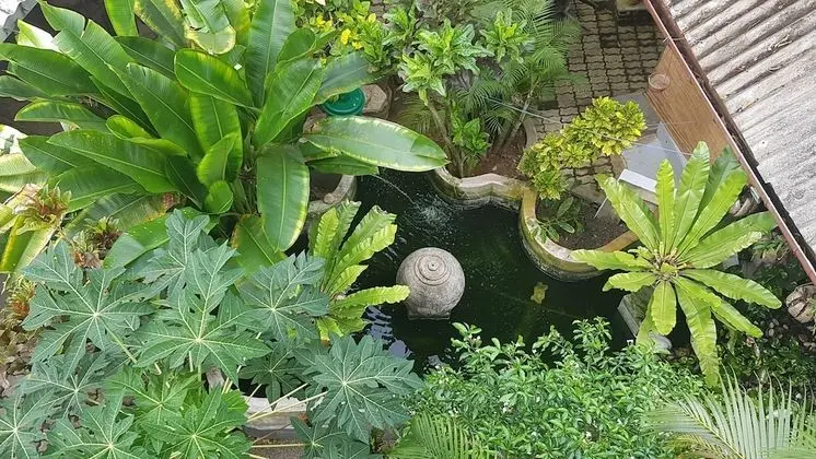 Sunil Garden Unawatuna - İç Mekan