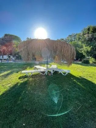 Sunny Garden Beach Hotel - Dış Mekan