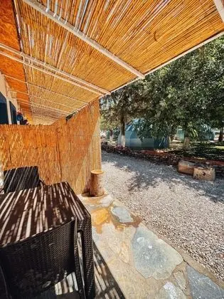 Sunny Garden Beach Hotel - Öne Çıkan Resim