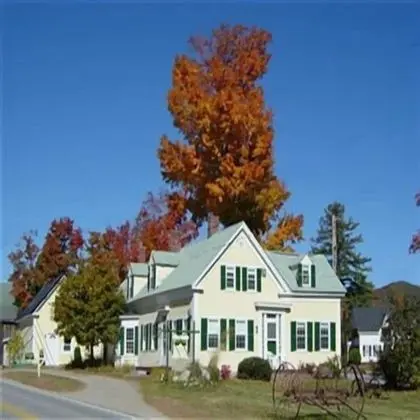 The Sunny Grange B&B