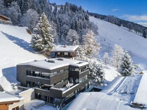 Sunny Zell am See in Zell am See