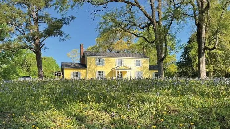 The Sunnyside Sisters Bed and Breakfast - Öne Çıkan Resim