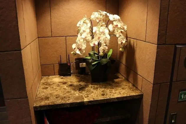 Hotel Sunplaza Annex - İç Mekan