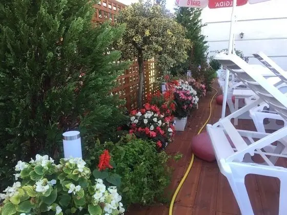 Sunrise Hotel Çameria - Havuz
