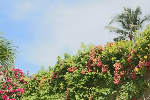 Sunrise Village Hotel - Dış Mekan