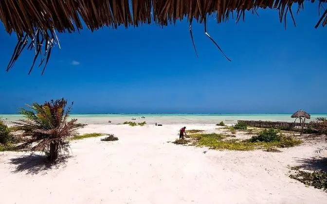 SunSeaBar Kite House