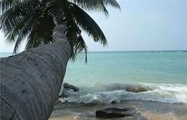 Sunset Cove Resort - Plaj